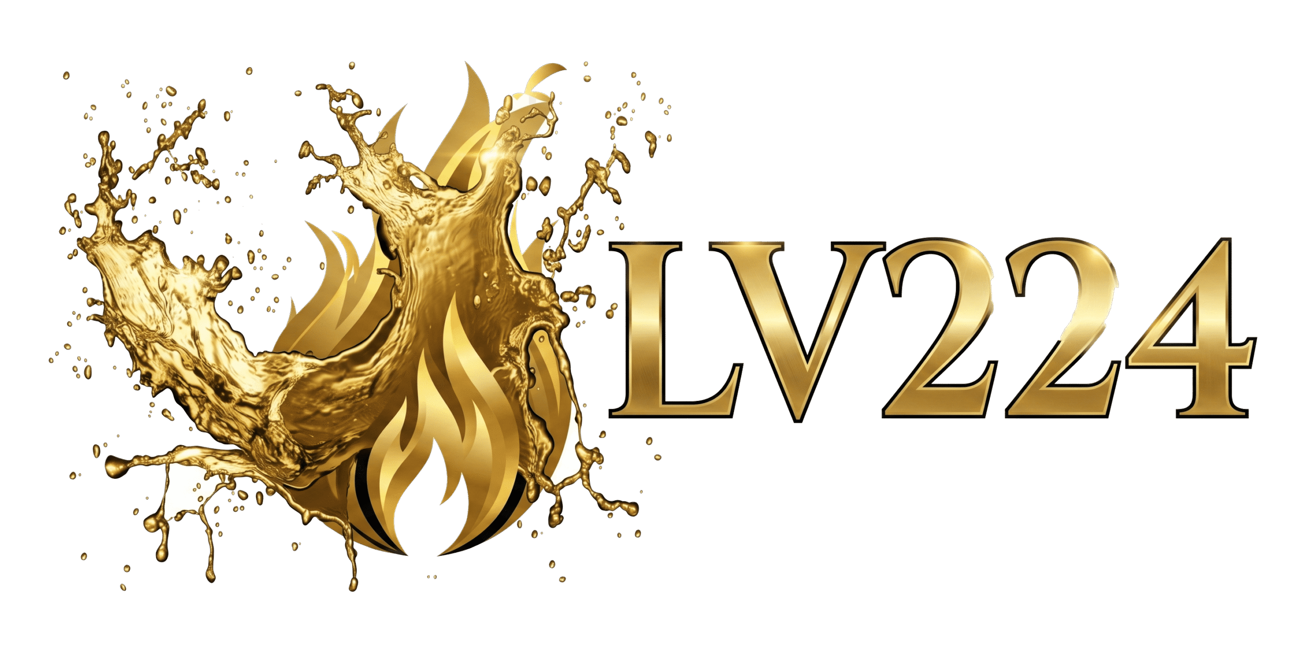 lv224 Logo